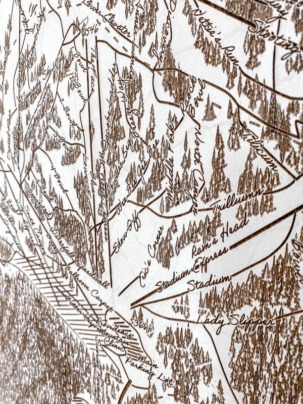 Mt Hood Meadows Ski Map